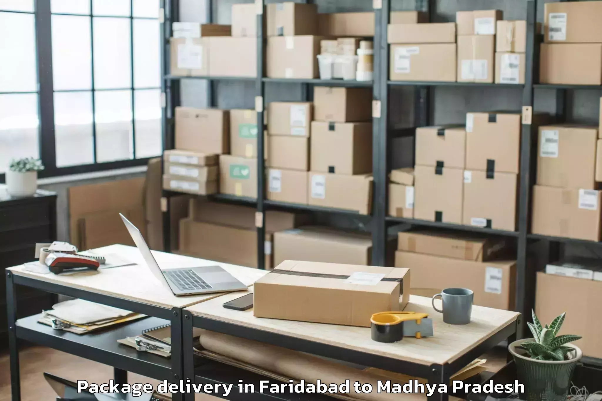 Book Faridabad to Basoda Package Delivery Online